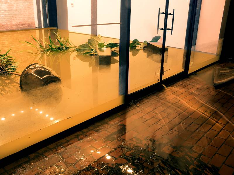 Commercial Water Damage Restoration Near Me