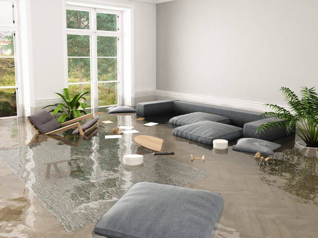 How to Clean Up Water Damage Fast in Your Home