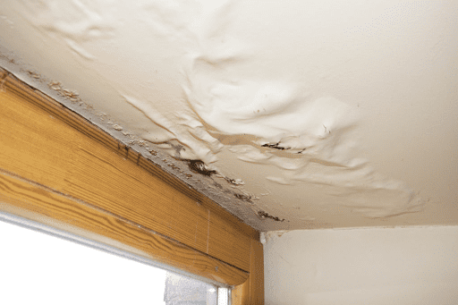 Beat Water Damage: 10 Pro Techniques to Safeguard Your Home