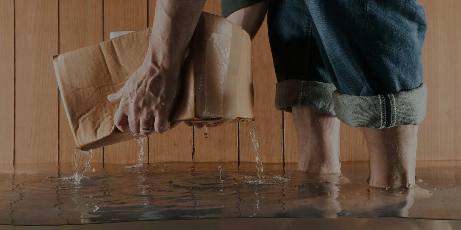 Bella Restoration Slide1